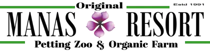 Manas Resort